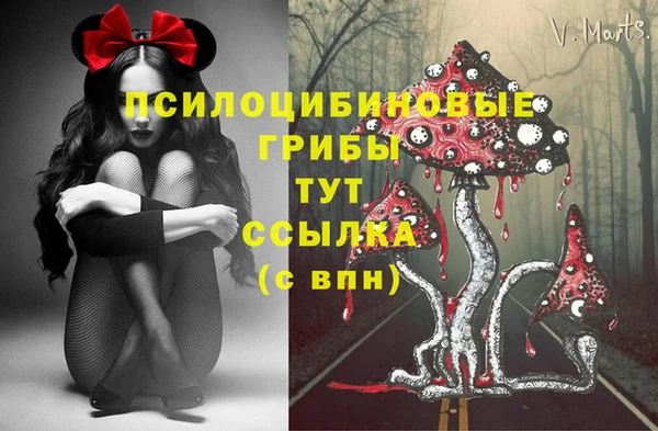 ГАЛЛЮЦИНОГЕННЫЕ ГРИБЫ Каменск-Шахтинский