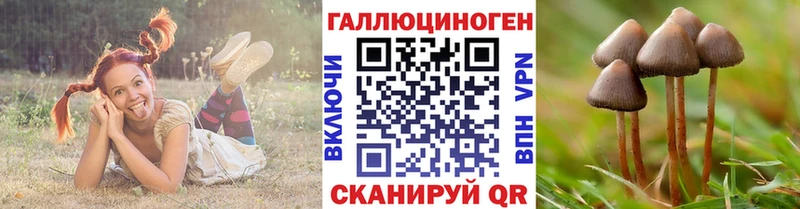 Псилоцибиновые грибы Psilocybine cubensis  shop состав  Краснокаменск  продажа наркотиков 