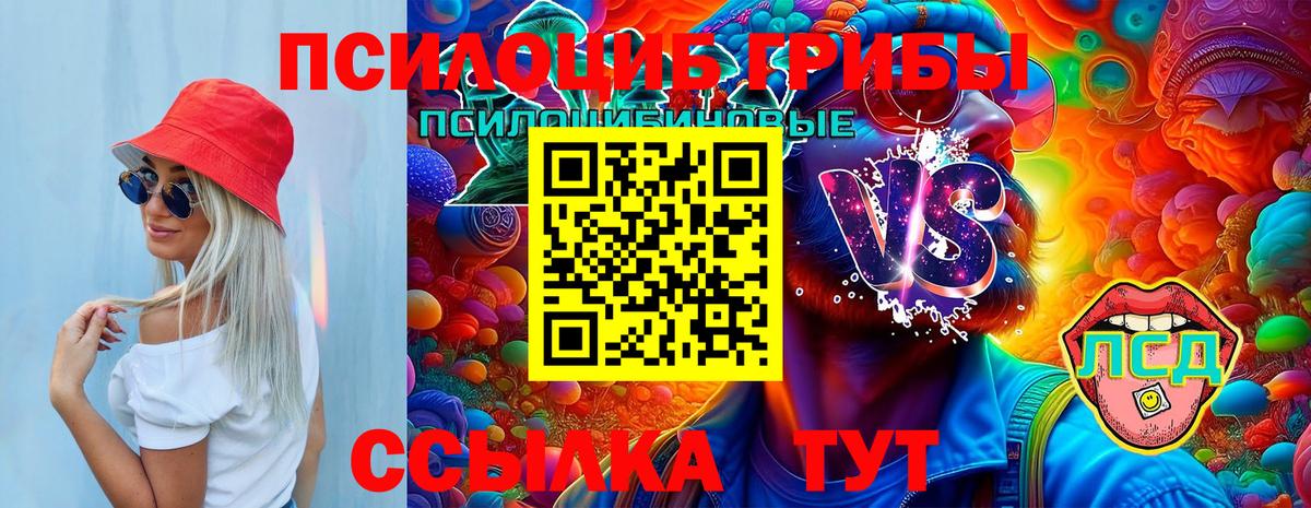 Краснокаменск  Псилоцибиновые грибы мицелий  Галлюциногенные грибы MAGIC MUSHROOMS  Вход с VPN 